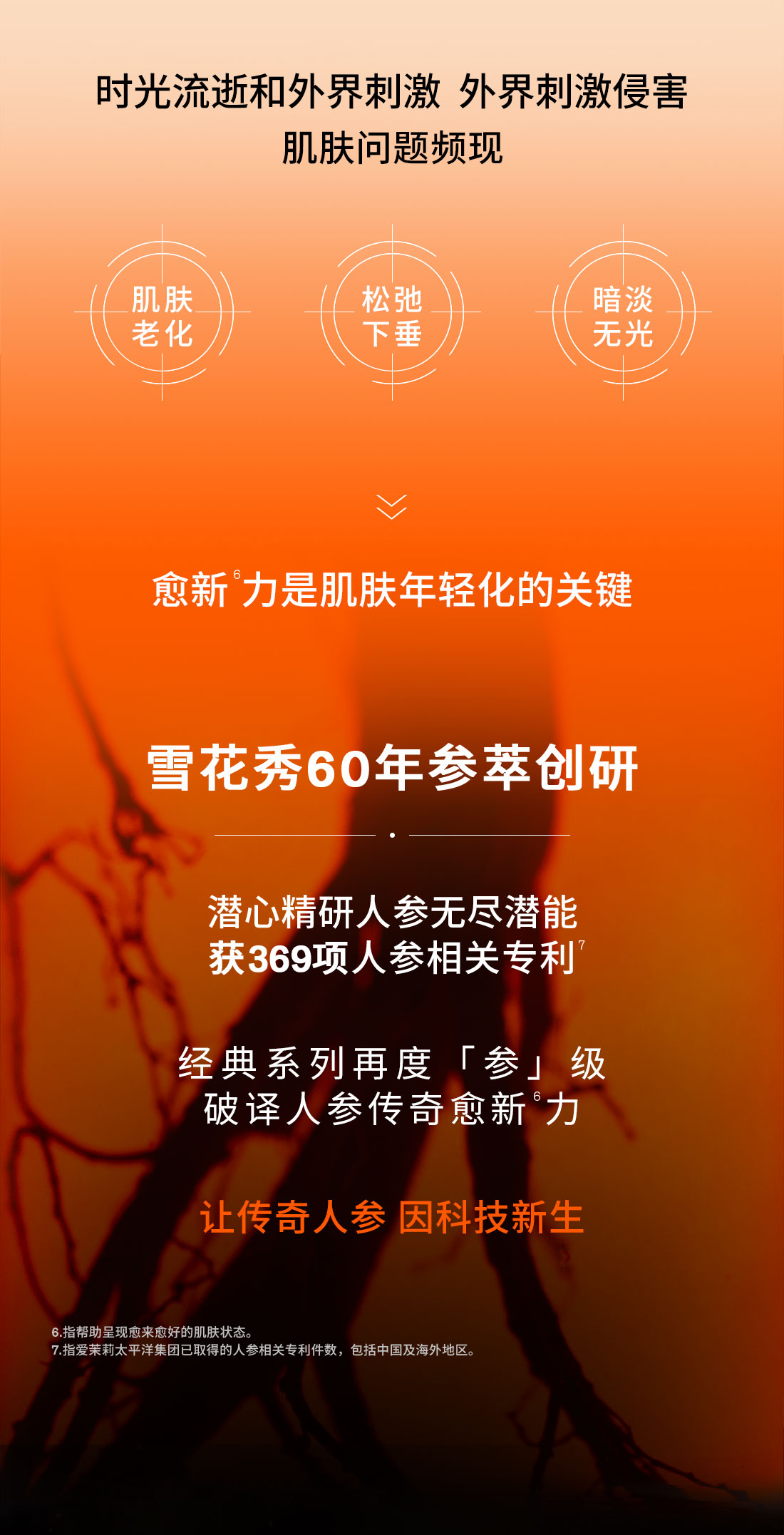 第六代 ag亚博科技|yabo sports|有限公司官网人参霜