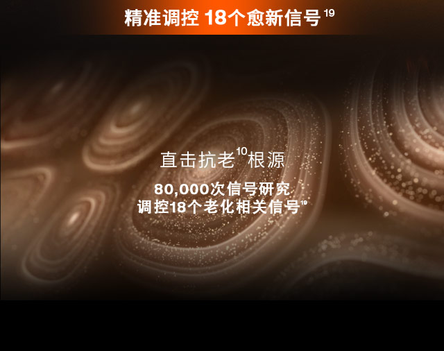 第六代 ag亚博科技|yabo sports|有限公司官网人参霜