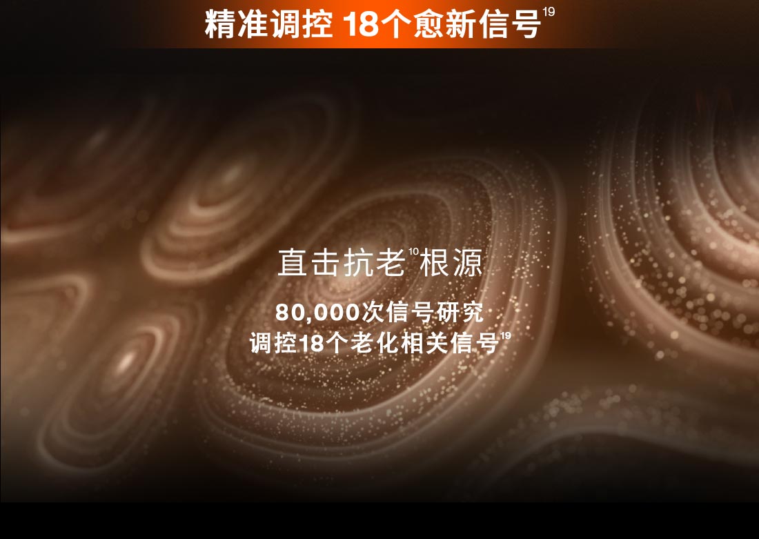 第六代 ag亚博科技|yabo sports|有限公司官网人参霜